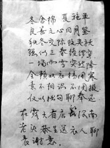 贊美長(cháng)壽老人的詩(shī)句,描寫(xiě)烏龜長(cháng)壽的詩(shī)句,祝老人壽辰的詩(shī)句