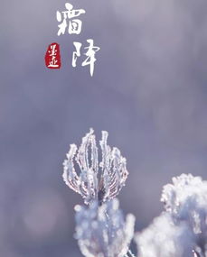 霜降,詩(shī)句,描寫(xiě)