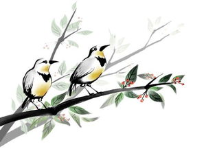 關(guān)于鳥(niǎo)和自由的新詩(shī)句大全