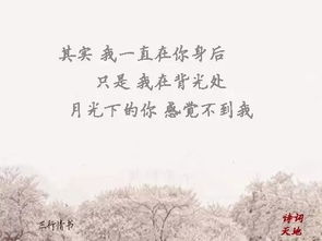 關(guān)于遇見(jiàn)的詩(shī)句樂(lè )觀(guān)