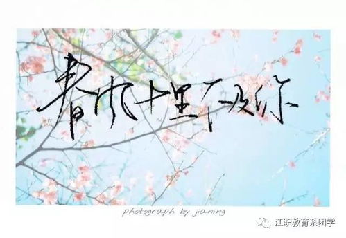 關(guān)于桃花的詩(shī)句多的子