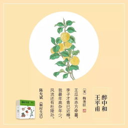 關(guān)于東西多的詩(shī)句
