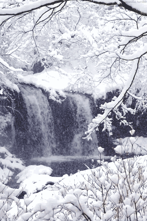 古詩(shī)詞含有雪的詩(shī)句,古詩(shī)詞中描寫(xiě)雪的詩(shī)句,古詩(shī)詞中描寫(xiě)雪的詩(shī)句很多請你寫(xiě)出兩句