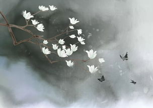 詩(shī)句,紅塵,離去