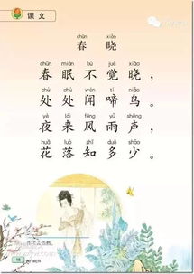 小學(xué)二級古詩(shī)120首關(guān)于花的詩(shī)句