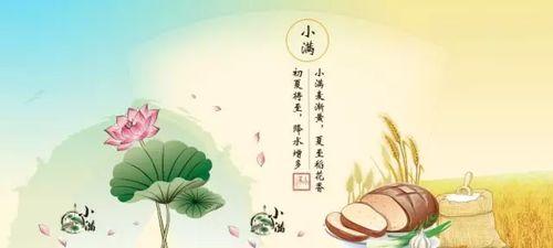 有關(guān)節氣的諺語(yǔ)或詩(shī)句,有關(guān)小雪節氣的諺語(yǔ)詩(shī)句,關(guān)于節氣雨水的詩(shī)句和諺語(yǔ)