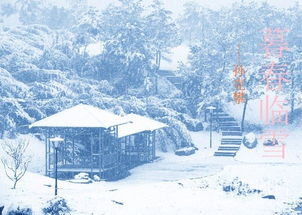 描寫(xiě)冬雪潔白的古詩(shī)句