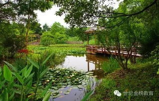 夏天的詩(shī)句關(guān)于池塘