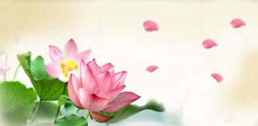 西湖,古詩(shī),詩(shī)句,大全