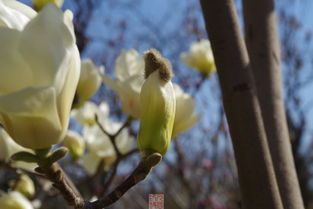 關(guān)于春天的酒詩(shī)句