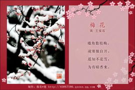 由梅飄香想到的古詩(shī)句有哪些