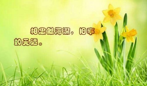 關(guān)于懷念家長(cháng)花香的詩(shī)句