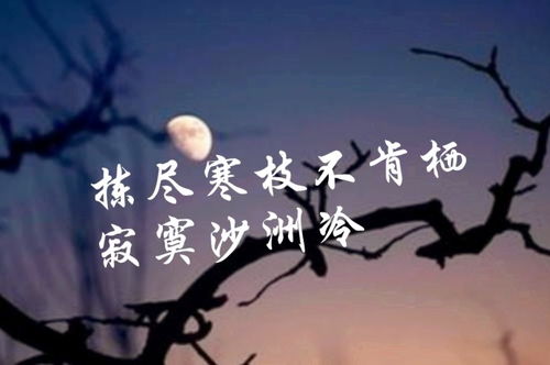 關(guān)于孤獨寂寞的古詩(shī)句