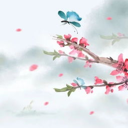 古詩(shī),個(gè)字,詩(shī)句