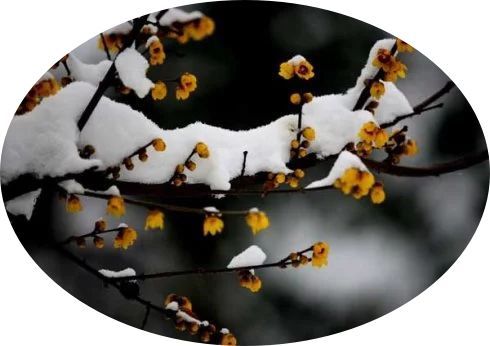 關(guān)于月亮的詩(shī)句的對聯(lián)