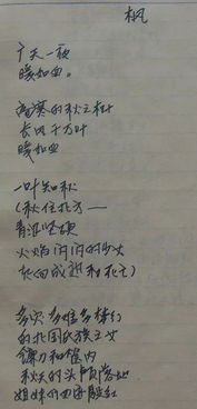 關(guān)于有村莊的詩(shī)句