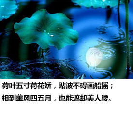 詩(shī)情畫(huà)意,詩(shī)句,形容,小學(xué)