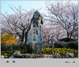 關(guān)于彭園的詩(shī)句