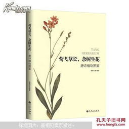 植物的詩(shī)句古詩(shī),寫(xiě)植物的詩(shī)句古詩(shī),贊美植物的詩(shī)句古詩(shī)