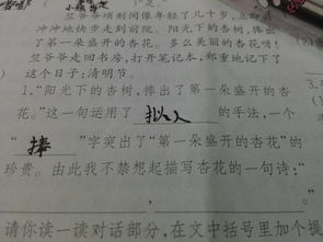 關(guān)于描寫(xiě)杏花的古詩(shī)句