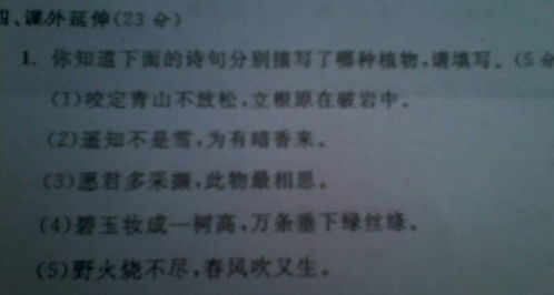 關(guān)于植物的詩(shī)句古詩(shī)大全,描寫(xiě)秋天的詩(shī)句古詩(shī)大全,描寫(xiě)山的詩(shī)句古詩(shī)大全