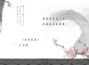 古詩(shī)夸人的詩(shī)句