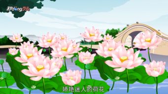 描寫(xiě)西湖荷花的小學(xué)古詩(shī)句
