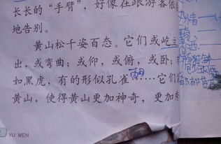描寫(xiě)黃山的古詩(shī)句有哪些,描寫(xiě)黃山最有名古詩(shī),黃山最有名的古詩(shī)句