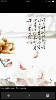 春蠶這首古詩(shī)的詩(shī)句是什么