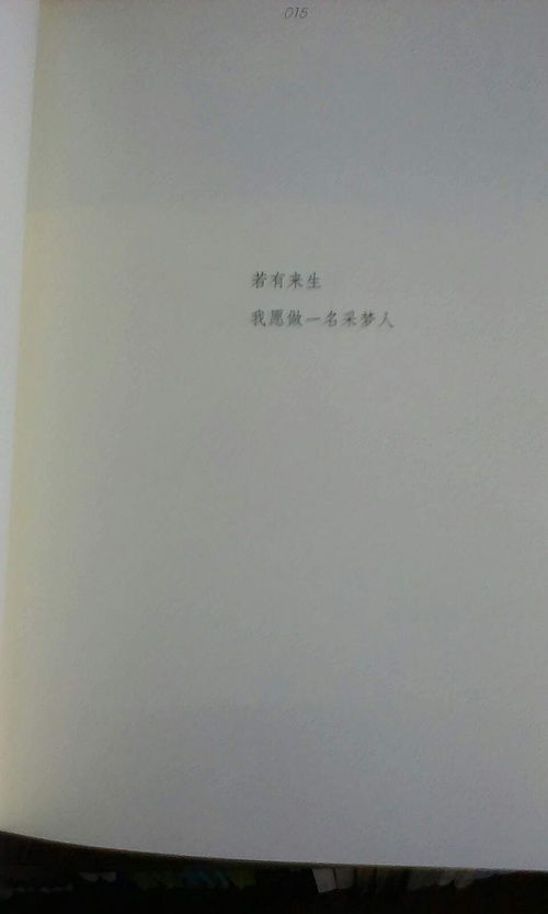 有關(guān)于質(zhì)疑自己的詩(shī)句