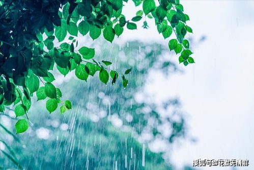 找一首關(guān)于雨的搞笑的詩(shī)句