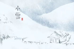 有沒(méi)有關(guān)于節氣小雪的詩(shī)句