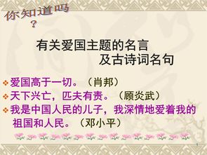 關(guān)于愛(ài)國的古詩(shī)句及出處
