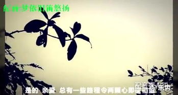 離別的詩(shī)句古詩(shī)大全