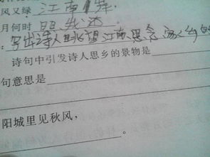 思鄉景的詩(shī)句古詩(shī)詞