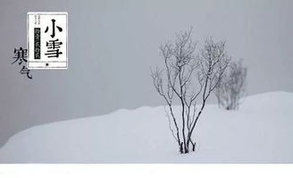 節氣,詩(shī)句,景色
