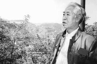 木開(kāi)頭的詩(shī)句古詩(shī),木字詩(shī)句古詩(shī),描寫(xiě)木的詩(shī)句古詩(shī)