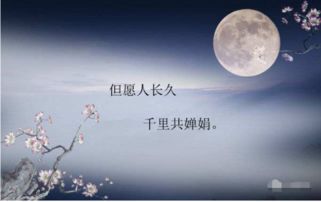 中秋節月亮的詩(shī)句古詩(shī)大全