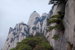 詩(shī)句,登山