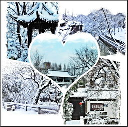 關(guān)于揚州下雪詩(shī)句