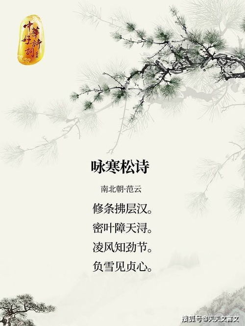 長(cháng)壽,松樹(shù),詩(shī)句,代表