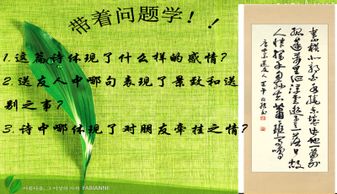 運用以動(dòng)寫(xiě)靜的古詩(shī)句