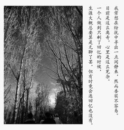 關(guān)于故鄉與鄰居的詩(shī)句