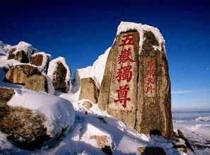 關(guān)于關(guān)于五岳的詩(shī)句
