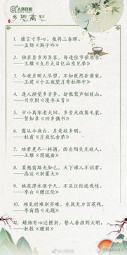 關(guān)于在實(shí)踐中學(xué)會(huì )運用的詩(shī)句名言警句