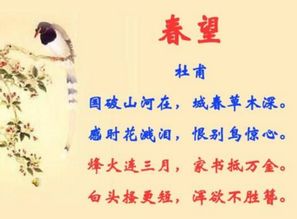 古詩(shī)詞中描寫(xiě)鄉愁的詩(shī)句