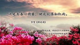 一句關于落日的詩句