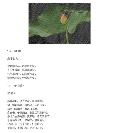 古詩(shī)中描寫(xiě)下雨的詩(shī)句