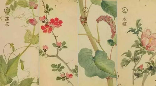 詩(shī)經(jīng)里關(guān)于花草的詩(shī)句有哪些