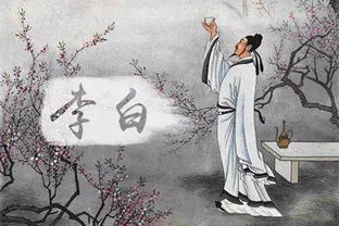描寫(xiě)一個(gè)人喝酒的古詩(shī)句